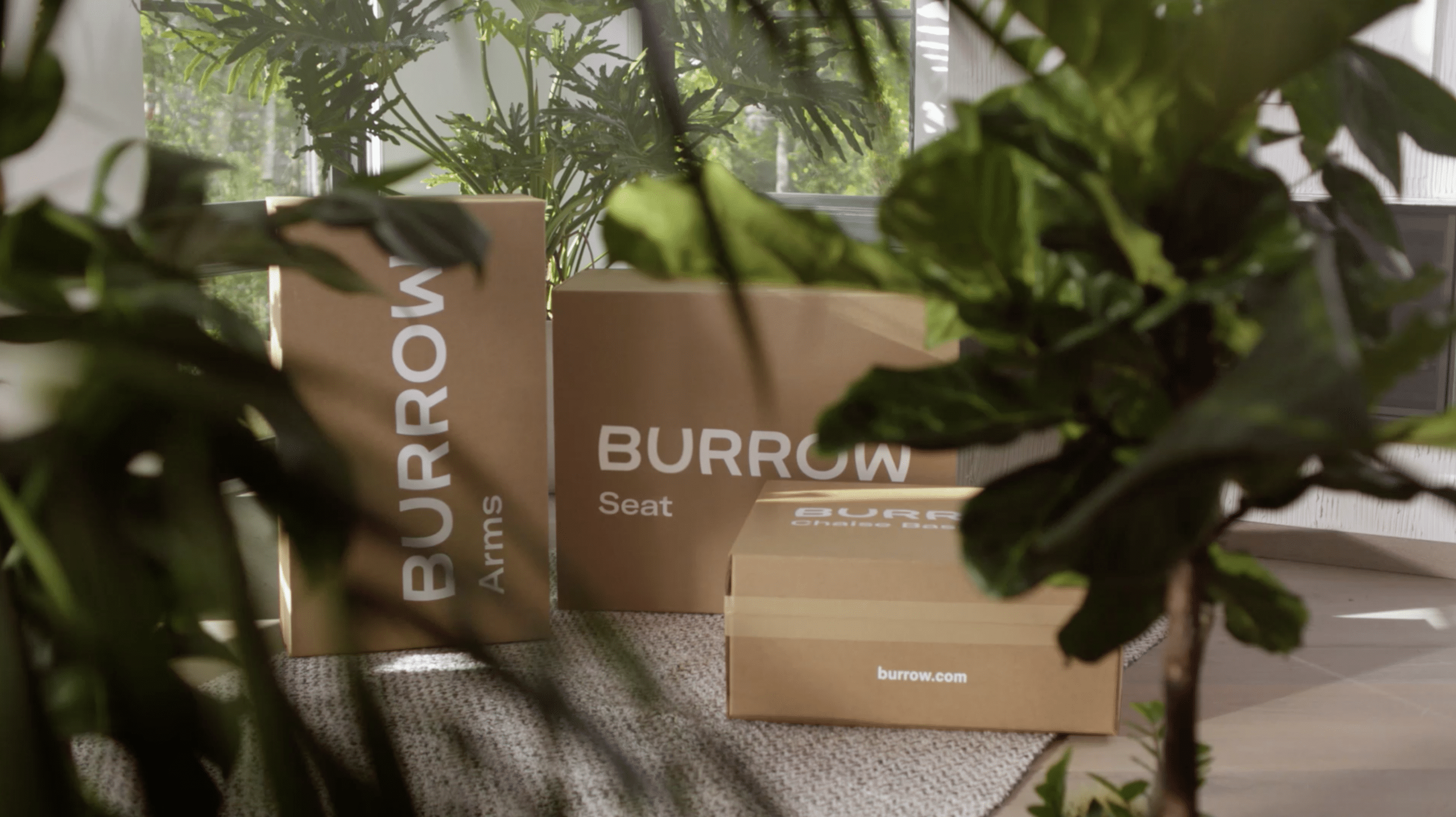 burrow-poster